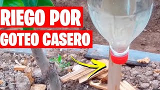 Riego por GoTeo 💧 casero fácil y gratis [upl. by Sitoel]