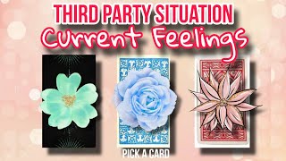 Pick a card Current Feelings in Your Third Party Situation You vs Them  Timeless Tarot Reading [upl. by Didier82]