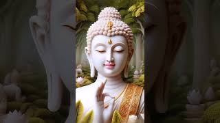 Gautam Buddh of the Heart 💓 Love song [upl. by Karlee]