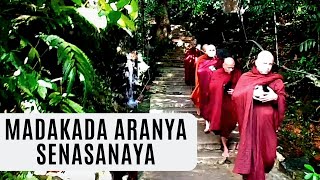 Madakada Aranya Senasanaya [upl. by Sully588]