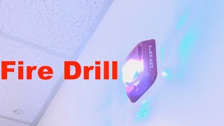 Fire drill at Elementary School with notifier NFS 320 320 long video [upl. by Ahsiram]