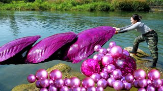 😱🎁Giant purple clams with desirable purple pearls inside each one so highquality and charming [upl. by Arutak267]