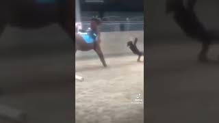 TW Ale to jest rel Czekam na spłakane piłkarzyki fypシ゚viral horsing fans equestrian horsy [upl. by Moran]