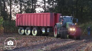 Melkveebedrijf Cools avond hakselen met Claas 960 Jaguar mais seizoen 2021 [upl. by Naneik]