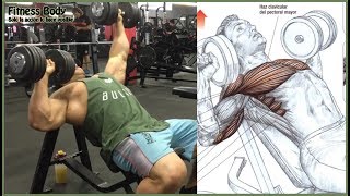 7 Chest Workout and Motivation 7 Ejercicios de Pecho [upl. by Liarret682]