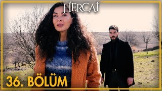 Hercai 36 Bölüm [upl. by Arnelle]