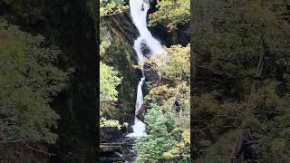 Devil’s Bridge waterfalls near Aberystwyth Wales devilsbridge waterfall wales [upl. by Rachel]