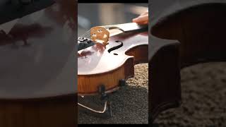 The Ultimate Guide To Stradivarius Violins Unleashing Perfection In Strings youtubeshorts shorts [upl. by Adnuahsal467]