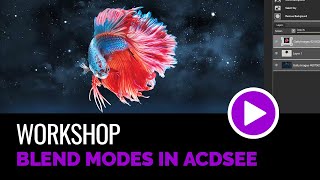 Blend Modes in ACDSee [upl. by Ydur]