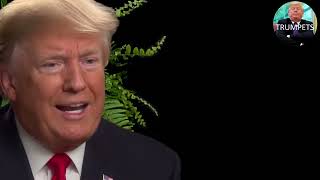 Between two Ferns Trump amp Zach Galifianakis [upl. by Acissaj]