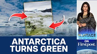 Why is Antarctica Turning Green  Vantage with Palki Sharma [upl. by Whitby]