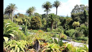 Tresco Abbey Garden 2019  Isles of Scilly  Tresco Island [upl. by Bellina]