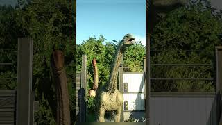 Camarasaurus Sound jurassicworld dinosaur trex jurassicpark jurassicworldevolution2 [upl. by Ibby]