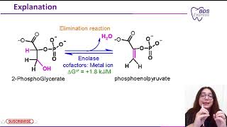 NEET MDS 2024 Biochemistry  Enolase [upl. by Shawna185]