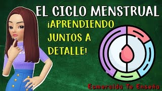 🩸La Menstruación y su Ciclo Menstrual🔄 [upl. by Elreath530]