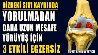 DİZ KİREÇLENMESİNDE YORULMADAN YÜRÜMEK İÇİN 3 EGZERSİZ aktifizyo fiziktedavi dizkireçlenmesi [upl. by Nafri]