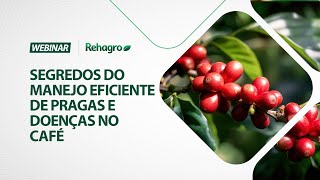 Segredos do MANEJO eficiente de PRAGAS e DOENÇAS no café  Webinar Café [upl. by Hamon]