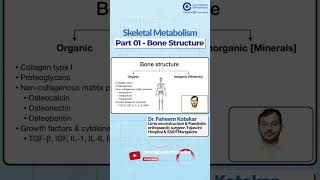 Understanding Bone Structure in Skeletal Metabolism by Dr Faheem Kotekar  Orthopedic Residency [upl. by Corkhill365]