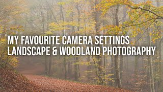 My Favourite Camera Settings  Landscape amp Woodland Photography [upl. by Som739]