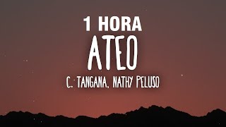 1 HORA C Tangana Nathy Peluso  Ateo LetraLyrics [upl. by Durware]