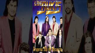 LOS BUKIS VIEJITAS PERO BONITAS 90S LOS BUKIS MIX DE EXITOS SUS MEJORES CANCIONES [upl. by Saucy]