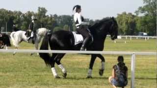 Kladruby National Studfarm 3062012Mimi and Romana Hajkova [upl. by Ennirok]