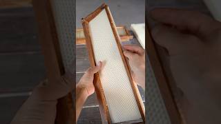 Preventing Wonky Comb amp Why Flow Hive doesn’t provide foundation Pt 3 flowhive beekeeping bees [upl. by Vescuso]