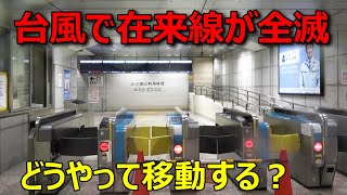 JRが台風で不通になったのでquot普段は誰も使わないルートquotで移動してきた [upl. by Tera]