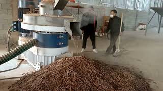 Yulong wood pellet machine pellet mill sawdust pellet machine [upl. by Janela288]