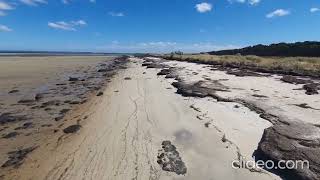 Walk from Tankerton Jetty to Fairhaven Campground and return French Island Victoria Australia [upl. by Harmaning287]