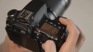 How to Master Image Stabilisation [upl. by Leonidas]