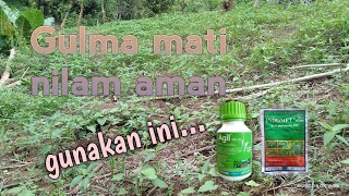 Racun rumput buat nilam [upl. by Atneciv]