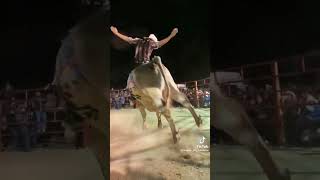 jaripeó chingón el lunaticó créditos jaripeo sin fronteras jaripeo jaripeoguerrero shortviral [upl. by Hsepid]