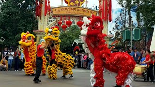 Dragon Dance  Disneyland Lunar New Year 2020 [upl. by Grieve]