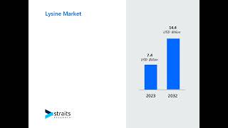 Global Lysine Market Overview  Size Share and Future Trends Forecast [upl. by Tuckie]