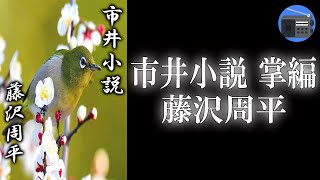 【朗読】「市井小説 掌編（如月）」江戸の十二カ月を鮮やかに切りとった掌篇集 “江戸おんな絵姿十二景”。著者最後の作品集！【時代小説・歴史小説／藤沢周平】 [upl. by Auqkinahs]