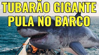 TUBARÃO GIGANTE PULA ENCIMA DO BARCO DURANTE UMA PESCARIA [upl. by Aicek]