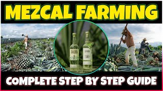 Mezcal Farming  Agave Cultivation  Complete StepbyStep Guide [upl. by Zanlog]