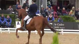 CDI3Saumur 2019 Grand Prix Barolo [upl. by Akiemehs]