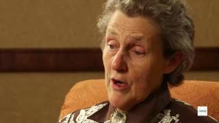 Expert insight from Temple Grandin in English [upl. by Elliott317]