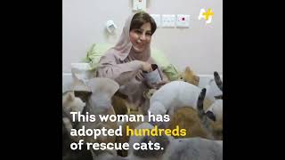 jesuisjournalistefr  AJ   This woman has adopted hundreds of rescue cats 4 December 2020 [upl. by Bartlett]