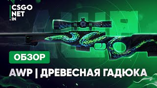 AWP  Atheris Древесная гадюка  CSGO [upl. by Noda]