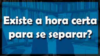 Existe a hora certa para se separar  Flávio Gikovate [upl. by Camel]