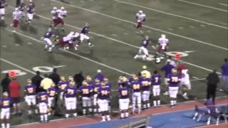 2014 RB Leonard Fournette Highlights from his sophomore season [upl. by Phares220]