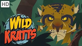 Wild Kratts  The Sea Creature Powers [upl. by Venola]