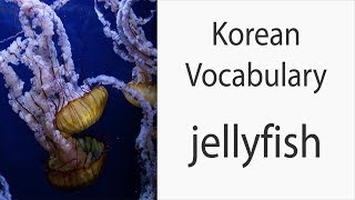 How to say quotJellyfishquot in Korean [upl. by Kirbie]