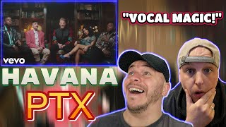 Incredible Pentatonix  Havana  Reaction [upl. by Ateekal]