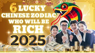 6 Luckiest Chinese Zodiac Signs That Will Be Rich In 2025  Ziggy Natural [upl. by Essenaj132]