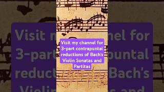 Harmonic reductions of Bachs Violin Sonatas and Partitas bach analysis musictheory soloviolin [upl. by Enelhtak]