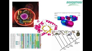 HINDIINTRODUCTION to BIOINFORMATICS GENOMICS TRANSCRIPTOMICS PROTEOMICS METABOLOMICS [upl. by Noelle]